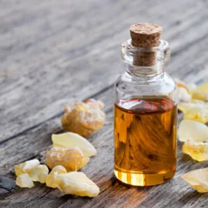 Boswellia