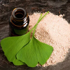 Ginkgo Biloba