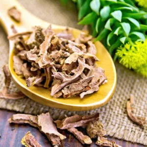Rhodiola