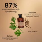 Apivita Hair Care Shampoo Dry Dandruff Celery & Propolis 250 ml