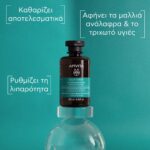 Apivita Σαμπουάν περιποίησης μαλλιών Oil Balance Peppermint & Propolis 250 ml σε πράσινο φόντο, πλαισιωμένο από ελληνικό κείμενο που τονίζει τη φόρμουλα εξισορρόπησης της λιπαρότητας και τα εξειδικευμένα οφέλη περιποίησης μαλλιών.