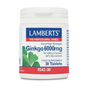 Το Lamberts Ginkgo Biloba 6000 mg 30 ταμπλέτες διατίθεται σε λευκό μπουκάλι με ετικέτα με γραφικό πράσινο φύλλο.